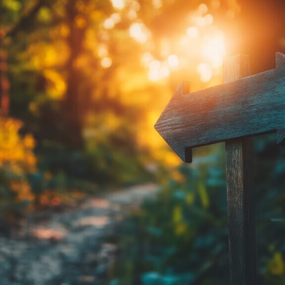 Wooden Arrow Signpost in a Forest Path at Sunset: A rustic wooden arrow signpost stands tall against the backdrop of a lush forest path illuminated by a warm, golden sunset.